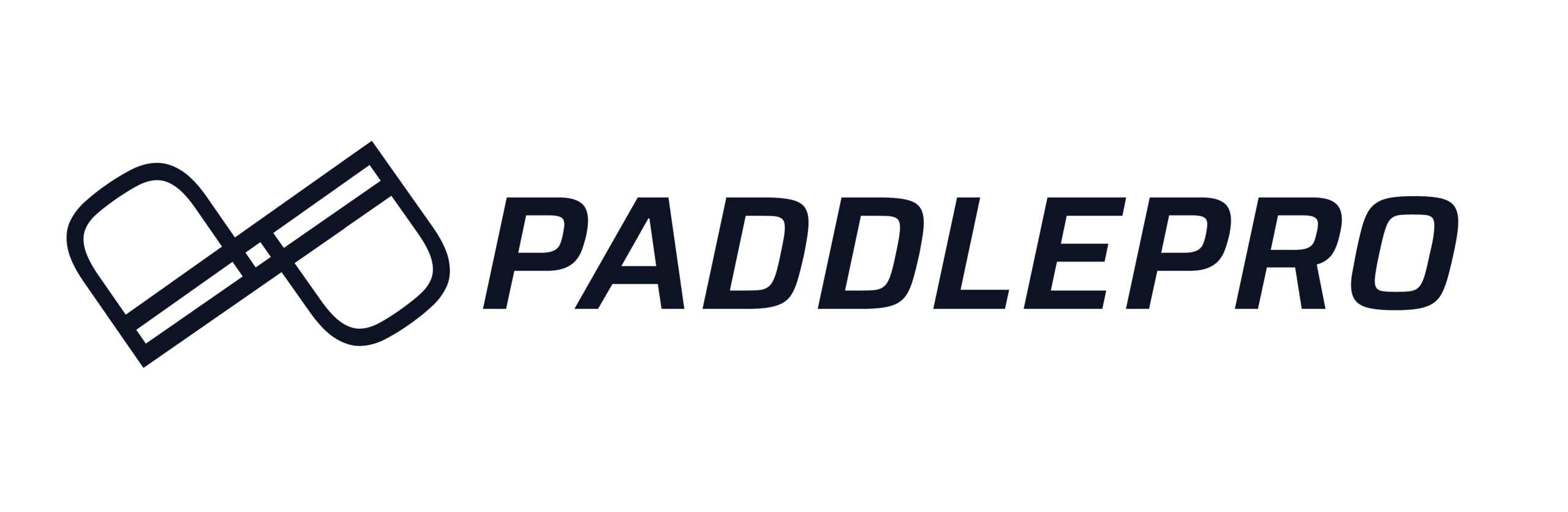 Paddle Pro Test Site